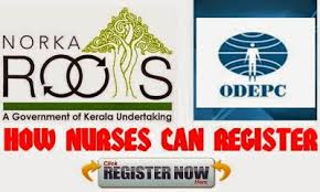 keralanews norka roots nurses recruitment issues