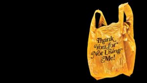 keralanews irittymuncipality plastic carry bag free