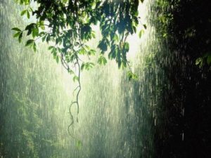 keralanews rain in kerala (2)