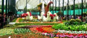 keralanews tellicherry flower show