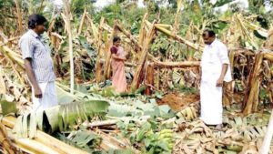 keralanews wind in mundanoor