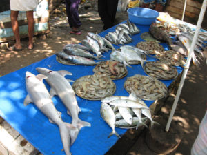 keralanews amonia mixed fish seized from puthiyatheru fish market