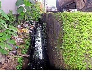 keralanews kseb workers cleaned the drainage