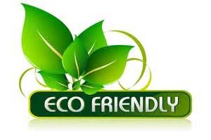 keralanews mattannur municipal election will be eco friendly