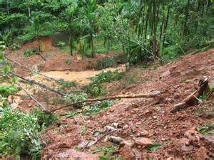 keralanews landslides in wayanad