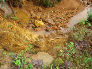 keralanews one died in landslides in wayanad