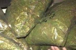 keralanews ganja worth 13lakh seized from train