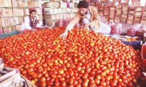 keralanews record price for tomato in pakisthan
