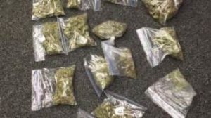 keralanews ganja seized from a quarters in payyannur