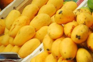 keralanews beware those who buy mango from outside mango imported from other states are sprinkled with pestisides