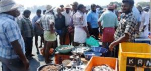keralanews ockhi cyclone the price of fish increased