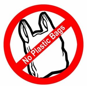 keralanews high court said that the govt has the right to ban plastic carry bags in the state