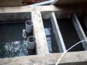 keralanews three laborers who tried to clean the wastewater treatment plant were died in bengalooru