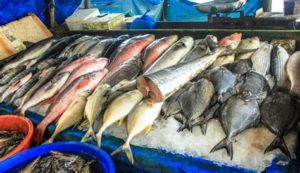 keralanews 18 percentage of the fish distributed in the market is mixed with chemicals
