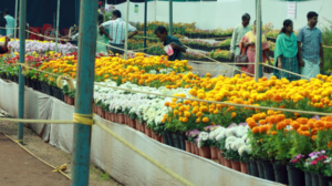 keralanews kannur flower show will begin from february 2nd