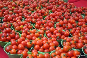 keralanews the price of tomato has been reduced