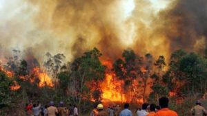 keralanews big fire in athirappilli forest range