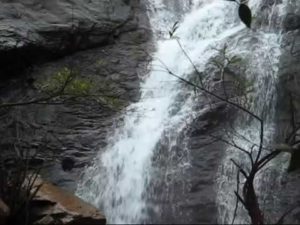 keralanews kseb is looking for the possibility of generating electricity from soochimukhi waterfalls