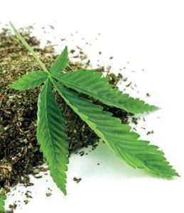 keralanews man arrested with ganja in kuthuparamab