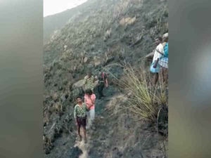 keralanews the fire in theni forest is under control