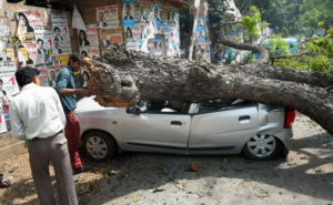 keralanews heavy rain and thunderstorm in the country 42 died