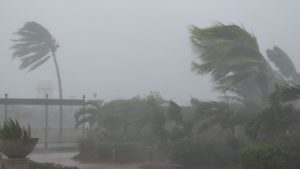 keralanews widespread damage to the kannur and surrounding areas in heavy wind