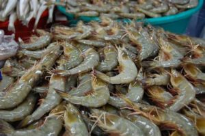 keralanews operation sagarrani four ton of prawn mixed with formalin were seized from valayar