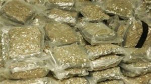 keralanews two arrested with 40kg of ganja in nilamboor