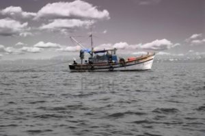 keralanews two injured when a ship hits the fishing boat in munambam kochi