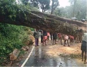 keralanews wide damage in heavy rain and landslides in idukki district