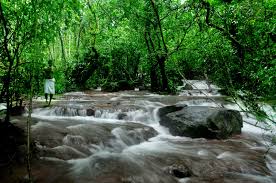 keralanews catch the minds of travellers kanayi kanam waterfalls