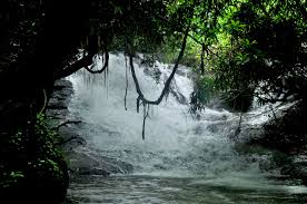 keralanews catch the minds of trevellers kanayi kanam waterfalls