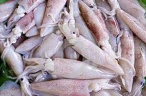 keralanews formalin mixed fish seized from vatakara again