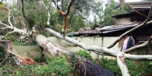 keralanews heavy rain in kerala four died train traffic interupted