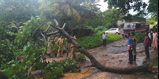 keralanews tree fell into the electric line near uppala railway station in heavy wind