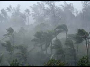 keralanews wide spread damage in heavy rain in waynad district