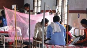 keralanews leptospirosis spreading high alert in kozhikode district