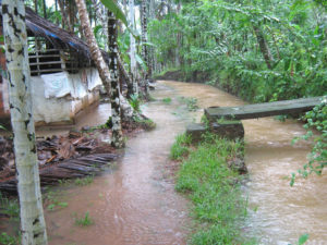 keralanews plans of crores needed to rebuild broken bridges in the district