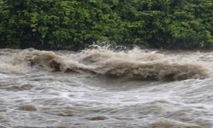 keralanews rain continues in the district red alert will continue today