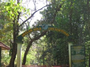 keralanews landslide in aralam wildlife sanctuary