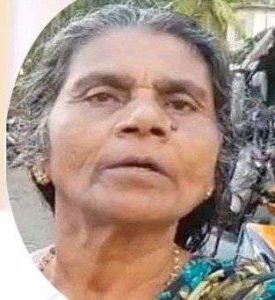 keralanews police arrested the lady who insulted chief minister pinarayi vijayan