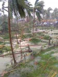 keralanews six died in gaja cyclone in tamilnadu