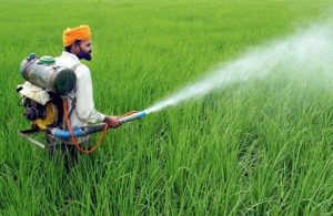 keralanews banned pesticides exported from tamilnadu to kerala with fake label