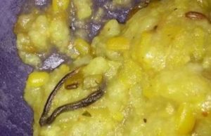keralanews remnants of snake found in lunch at school