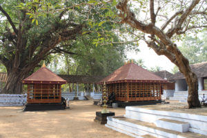 keralanews theyyam performin museum to explore theyyam and thira in andalloorkavu