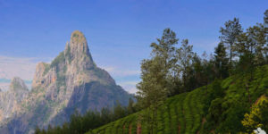 keralanews travel to kotagiri which is known as the switzerland of india (2)