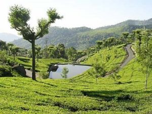 keralanews travel to kotagiri which is known as the switzerland of india
