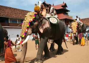 keralanews heatwave strict control on using elephant for ezhunnallatth