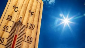 keralanews sunstroke alert extented to april 10th in the state