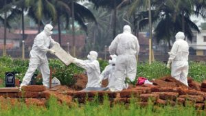 keralanews nipah virus facts to know